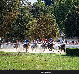 Accueil Accueil